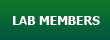 Lab Members